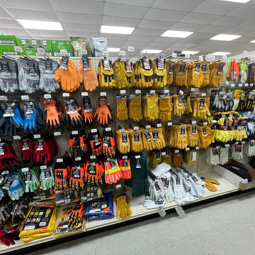 Apparel and footwear