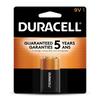 Duracell Coppertop 9V Alkaline Batteries (9V 2 Pk)