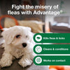 Advantage Dog Flea & Tick Shampoo for Puppies & Adult Dogs