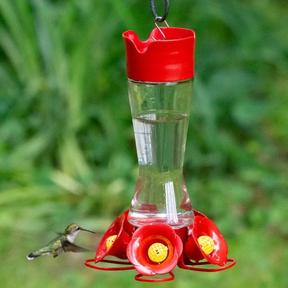 Perky-Pet® Favored Pinch-Waist Glass Hummingbird Feeder (16 oz)