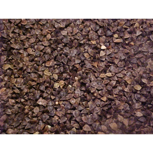 Southern States® Buckwheat (50 lbs)