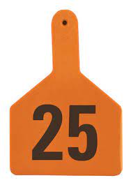 Z Tags Cow Ear Tags Orange Numbered 26-50 (Orange)