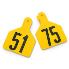 Z Tags Calf Ear Tags Yellow Numbered 51-75 (Yellow)