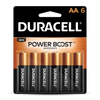 Duracell Coppertop AA Alkaline Batteries (AA 12 Pk)